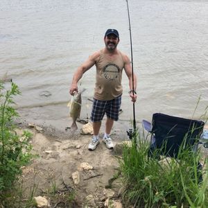 Meet your Posher, Vladimir